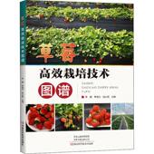 莓栽培技术图谱李刚 林业书籍 农业