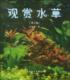 观赏水李尚志 林业书籍 水生维管束植物养殖农业