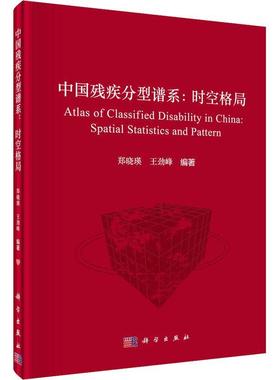 中国残疾分型谱系:时空格局:spatial statistics and pattern郑晓瑛  社会科学书籍