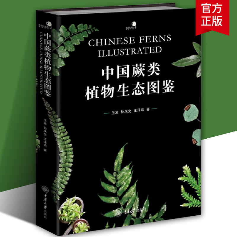 好奇心书系 图鉴系列 中国蕨类植物生态图鉴 精选1 800余张精美图片素材 介绍了36科130属574种蕨类植物的名称特征自然科学书籍