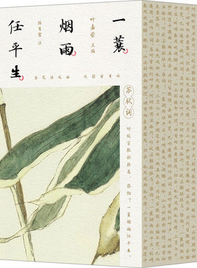 寸心如水月李清照词秦观词苏轼词