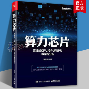 算力芯片 高性能 CPU/GPU/NPU 微架构分析 众核处理器架构功能部件设计 NPU芯片设计架构 超级计算机算力和AI算力书籍