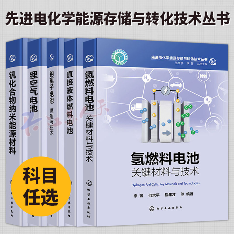 先进电化学能源存储与转化技术氢燃料电池钠离子电池原理与技术锂空气电池钒化合物纳米能源材料电池技术手册直接液体燃料电池