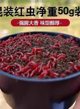 鲜活红虫营养特大号红虫活鱼饵红虫垂钓活饵钓鱼饵料野钓鲫鱼鱼食