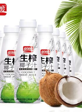 植物蛋白饮料原味椰子汁