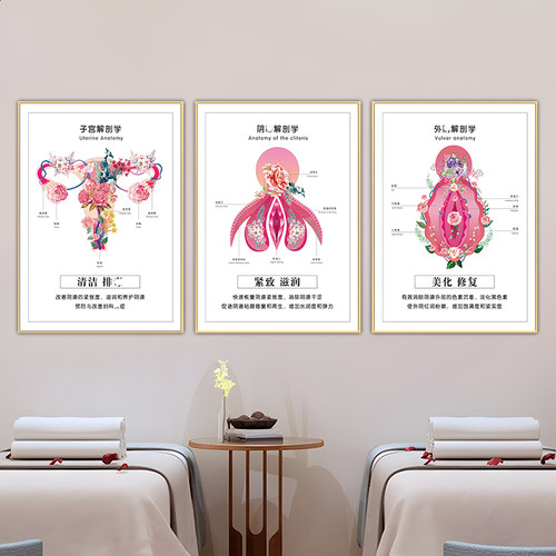 美容院私密海报妇科解剖图片挂画