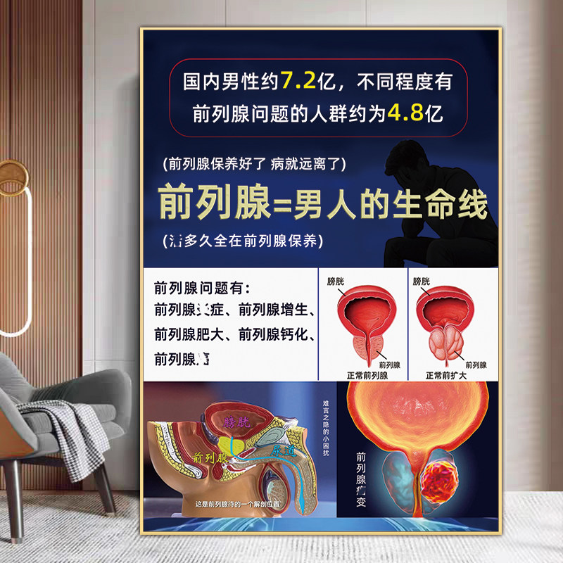 前列腺保养广告男科挂图生殖系统解剖图画肾部调理图男士私密海报