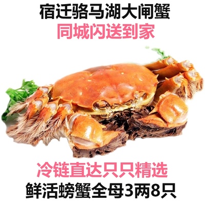 宿迁骆马湖全母蟹现货水产