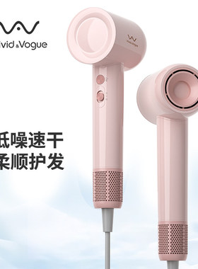 唯戈负离子速干低噪电吹风
