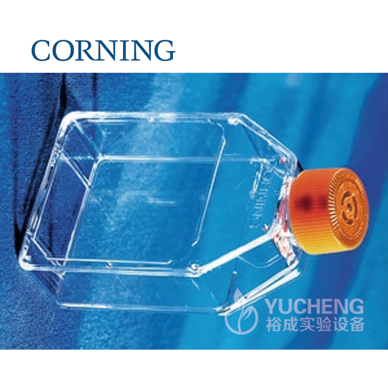 康宁Corning T25 T75 T150T175T225细胞培养瓶一次性培养瓶430639