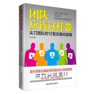 【正版书】 团队应该这样带:尖刀团队的12堂总裁内部课 凡禹 民主与建设出版社