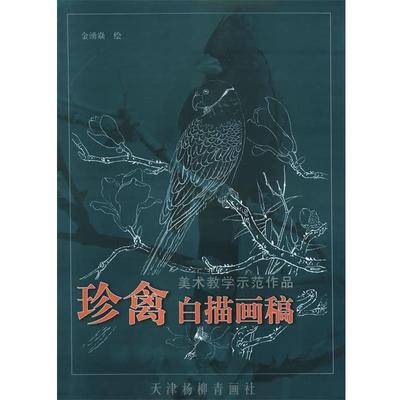 【正版】珍禽白描画稿 美术教学示范作品 金湧焱  绘