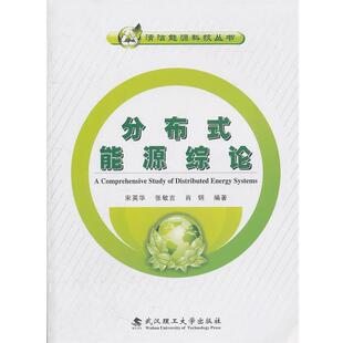 【正版书】 分布式能源综论 宋英华,张敏吉,肖钢 武汉理工大学出版社