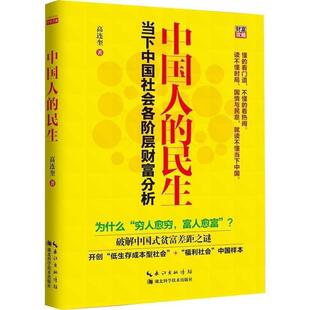 【正版】中国人的民生 当下中国社会各阶层财富分析 高连奎