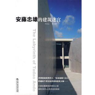 建筑迷宫 安藤忠雄 李清志 正版