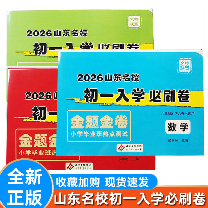 山东省小学毕业升学考试试卷精选