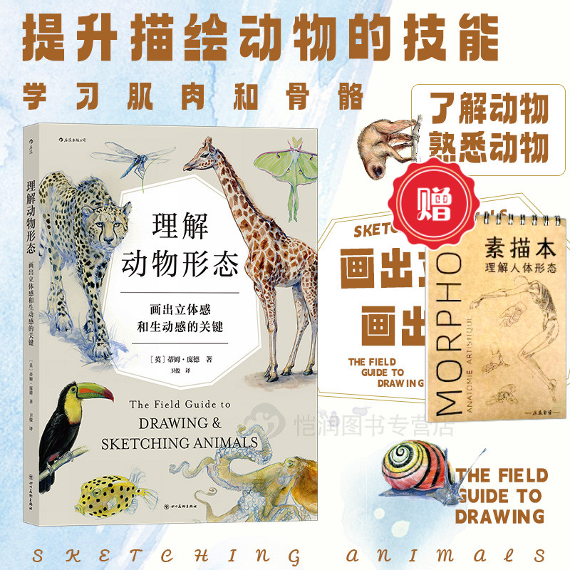 学会观察，有效练习，提升描绘动物的技能