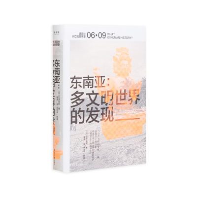 讲谈社  兴亡的世界史06 东南亚多文明世界的发现  理想国正版直发