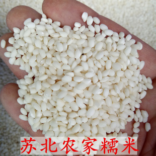 5斤糯米圆粒江米粘糯米苏北农家自产包粽子新米煮粥白米杂粮免邮