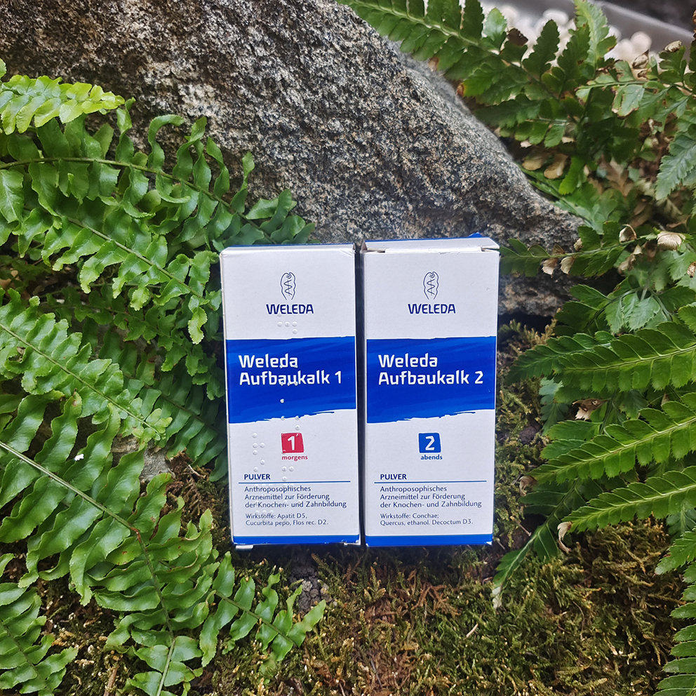 早晚钙粉2瓶德国weleda维蕾德有机 钙粉孕妇宝宝套装健骨VD 现货