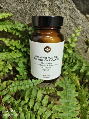 德国代购天然植物提取复合活性维生素B族胶囊SundayNatural现货