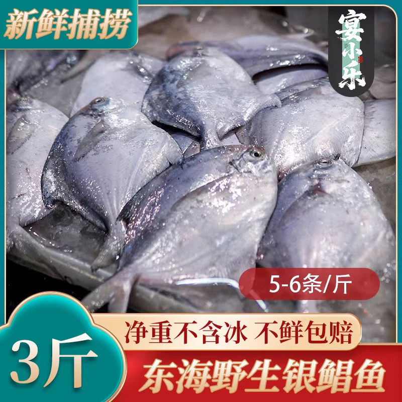 鲳鱼新鲜冷冻金银鲳鱼舟山白鲳鱼平鱼鲳鳊鱼仓鱼小昌鱼斗烧烤 3斤