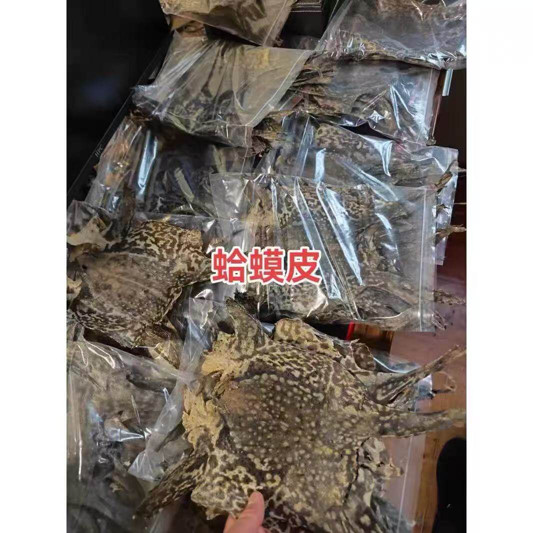 农村常见海蟾蜍干皮蛤蟆干货滋补药品厂家直发特价干蟾粉癞蛤蟆粉