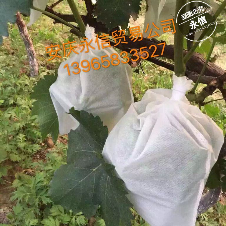防病无纺布套袋葡萄袋防鸟半透明露天防水保护袋子防虫水果专用袋在类目 鲜花速递/花卉仿真/绿植园艺, 园艺用品, 其它园艺用品中 - 来自Buy2taobao.com提供专业的淘宝代购服务