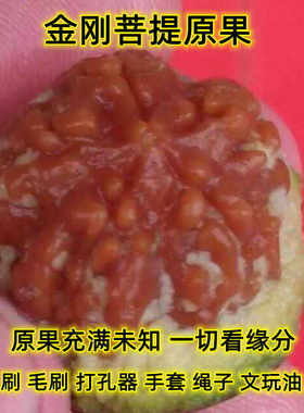 带皮青皮金刚菩提子原果黄皮五六瓣满肉梅花手串男女士佛珠手链