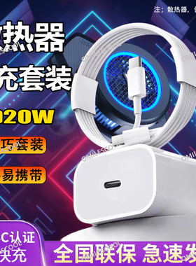 适用飞智散热器充电器头20W快充数据线B6/B6X/B5X/B5手机散热器背夹超频充电线PD套装快充插头