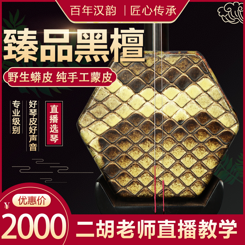 黑檀二胡乐器大人演奏专业正品儿童初学者入门琴苏州二胡厂家直销