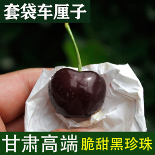 天水套袋大樱桃黑珍珠脆甜车厘子新鲜孕妇水果顺丰包邮产地直发