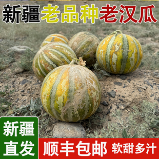 新疆老汉瓜冰淇淋瓜正宗喀什老汉瓜甜瓜网纹瓜哈密瓜