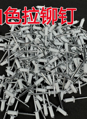 白色拉铆钉彩色铝制抽芯铆钉箱包门窗装潢钉子