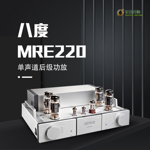 德国发烧hifi单声道功放