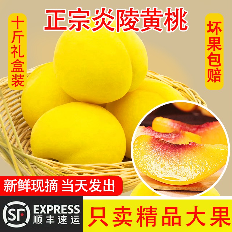 正宗炎陵高山黄桃顺丰包邮