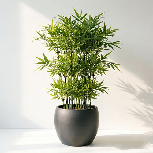 简约现代仿真竹盆栽室内装饰竹子