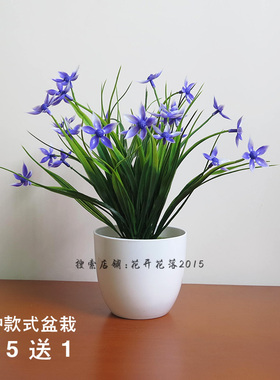 塑料花盆栽桌面摆件装饰品植物