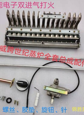 蒸炉15排双进气肠粉机节能王电子点火开关点火总成原厂配件开关！