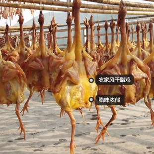 湖北荆州农家自制风干鸡 腊鸭子自然风干特产腊味散养正宗土鸡子