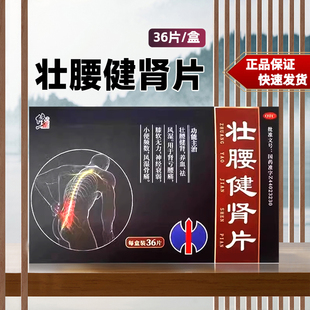 修正 壮腰健肾片 36片/盒 壮腰健肾 养血 cc