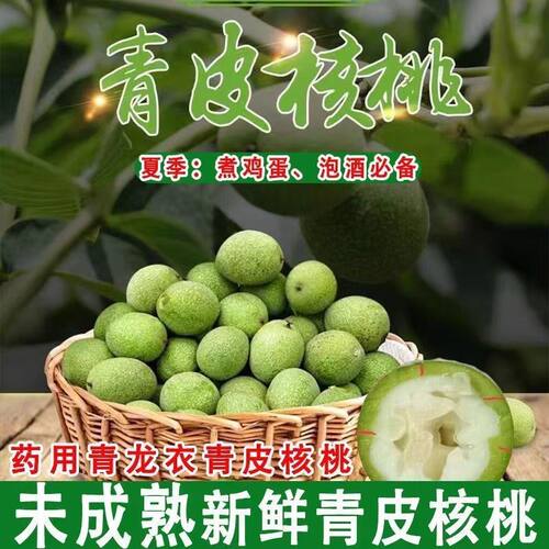 青皮核桃泡酒核桃幼核桃薄皮核桃新鲜青皮核桃新鲜采摘药用青皮