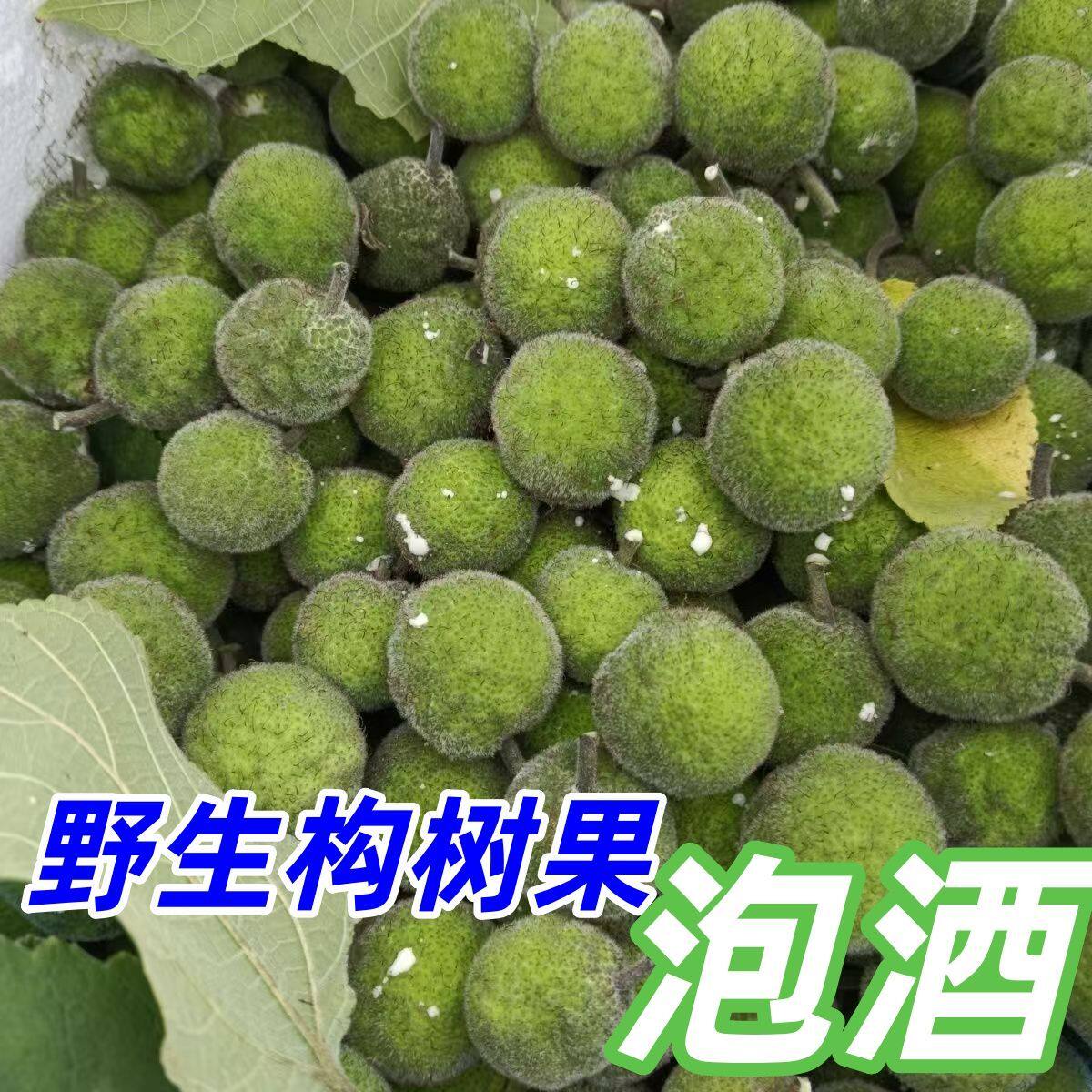 现摘新鲜构树果构树楮桃果楮实子青果假杨梅食用果构桃泡酒包邮