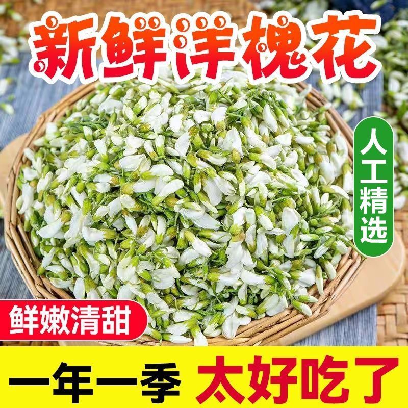 2025年正宗山区槐花洋槐当季新鲜冷冻天然野菜野生蒸菜花骨朵包邮