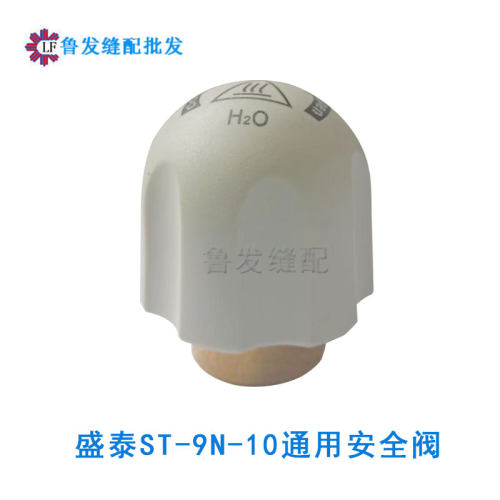 盛泰节能锅炉内外用安全阀
