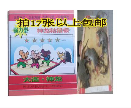 大连神龙五星粘鼠板16张包邮 强力捕灭抓老鼠贴夹神器正酒店家用