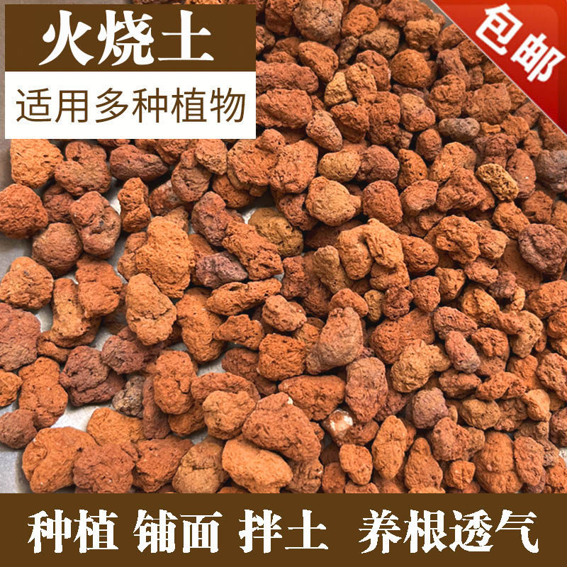 火烧土多肉兰花种植土铺面石透气养根盆栽专用红兰石颗粒兰花土