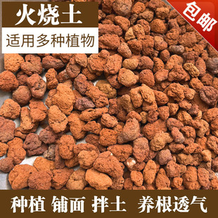 火烧土多肉兰花种植土铺面石透气养根盆栽专用红兰石颗粒兰花土