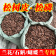 发酵腐熟松树皮松鳞兰花专用土蝴蝶兰石斛月季 植料君子种花营养土