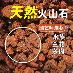 优质火山石颗粒多肉兰花铺面拌土鱼缸底砂滤材大块造景砂铺面石